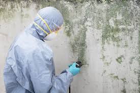 Best Mold Prevention Services  in Raleigh, NC